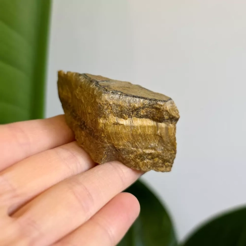 BR0013 webp Tygrysie oko bryłka Magneska 3.webp