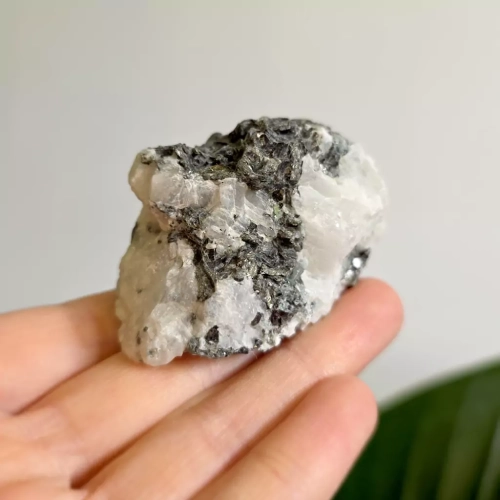 BR0020 webp Kamień księżycowy z czarnym turmalinem Magneska.webp