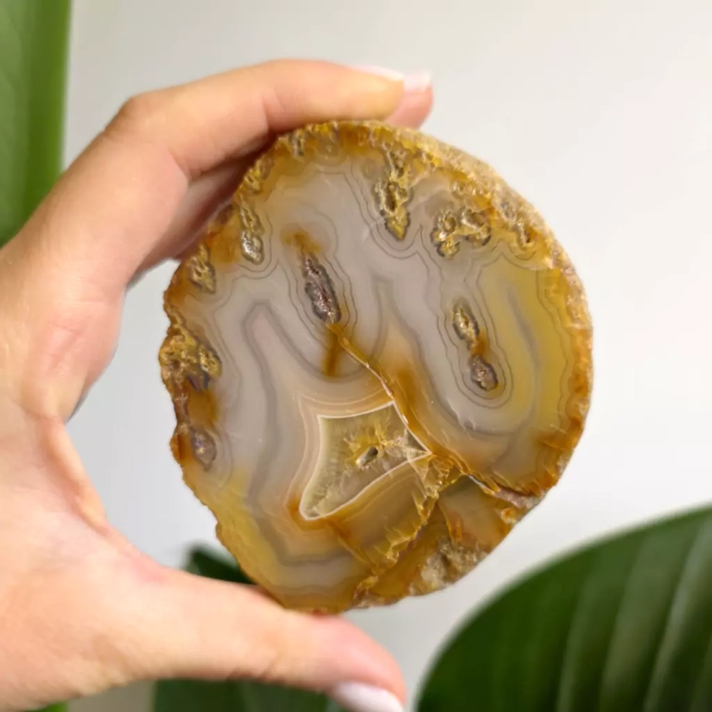 BR0027 webp Agat Sumatra Magneska biżuteria.webp