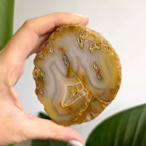 BR0027 webp Agat Sumatra Magneska biżuteria.webp