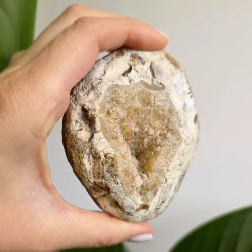 BR0027 webp Agat Sumatra Magneska biżuteria 3.webp