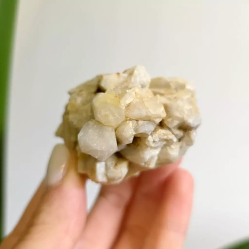 BR0033 webp Szczotka kwarcowa Magneska.webp