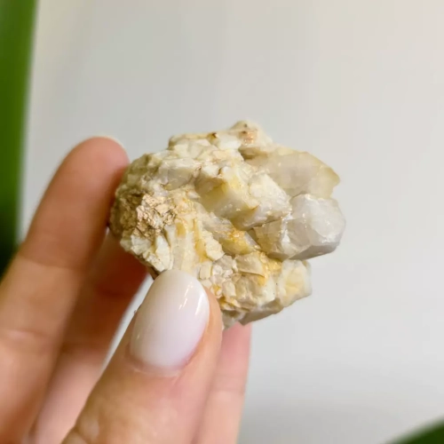 BR0033 webp Szczotka kwarcowa Magneska 2.webp