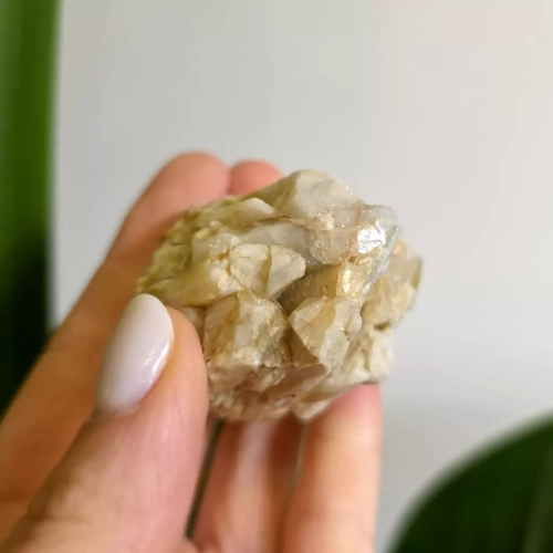 BR0033 webp Szczotka kwarcowa Magneska 3.webp