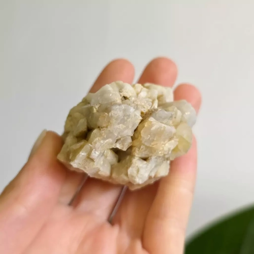 BR0033 webp Szczotka kwarcowa Magneska 4.webp