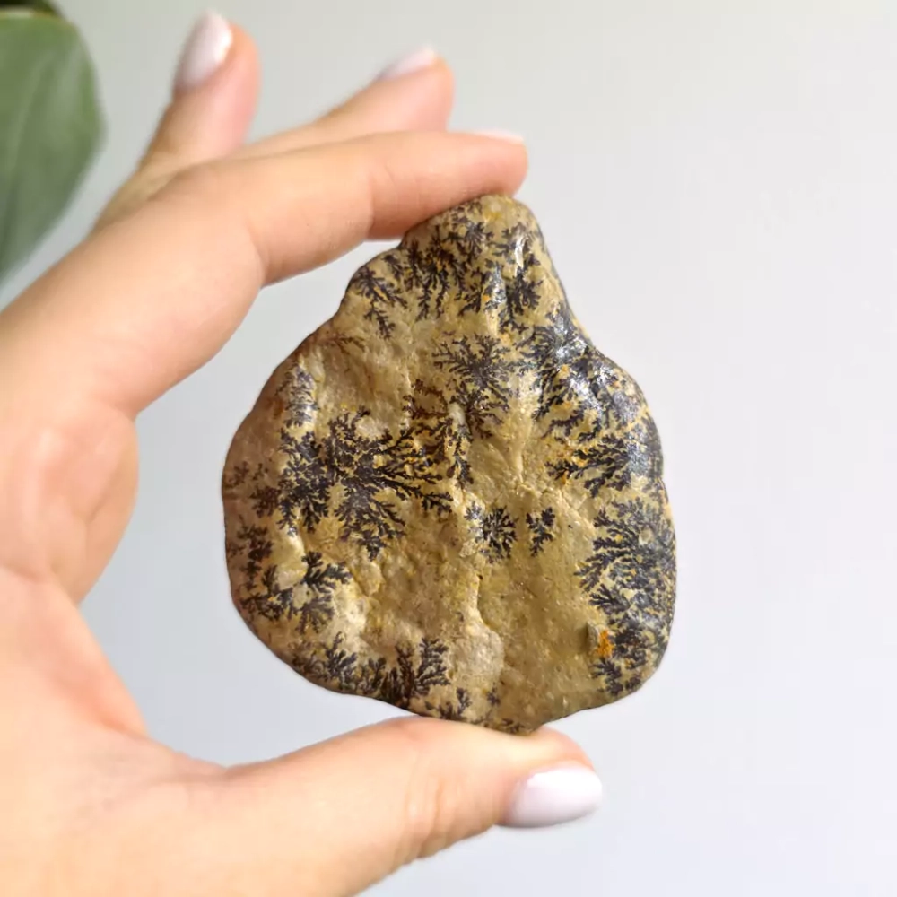 BR0040 webp Dendryty manganowe bryłka Magneska.webp