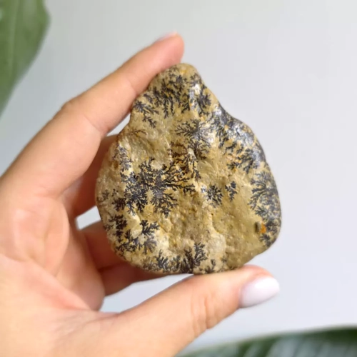 BR0040 webp Dendryty manganowe bryłka Magneska  2.webp