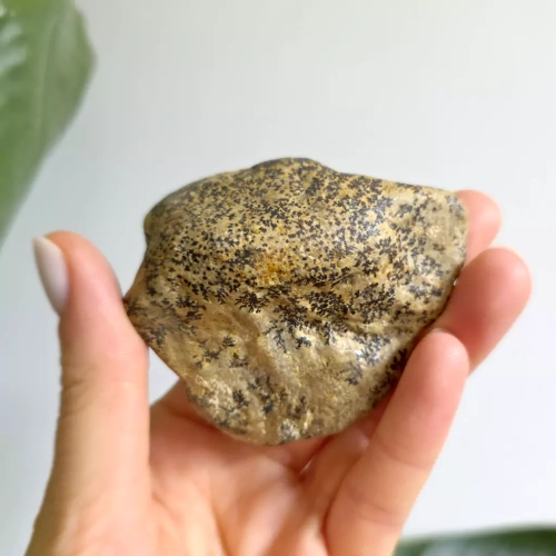 BR0040 webp Dendryty manganowe bryłka Magneska  3.webp