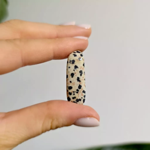 BR0042 webp Jaspis dalmatyńczyk polerowana bryłka 25 35 mm 2.webp