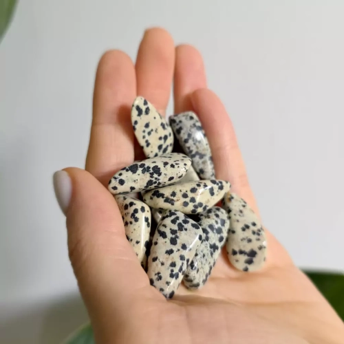 BR0042 webp Jaspis dalmatyńczyk polerowana bryłka 25 35 mm 3.webp