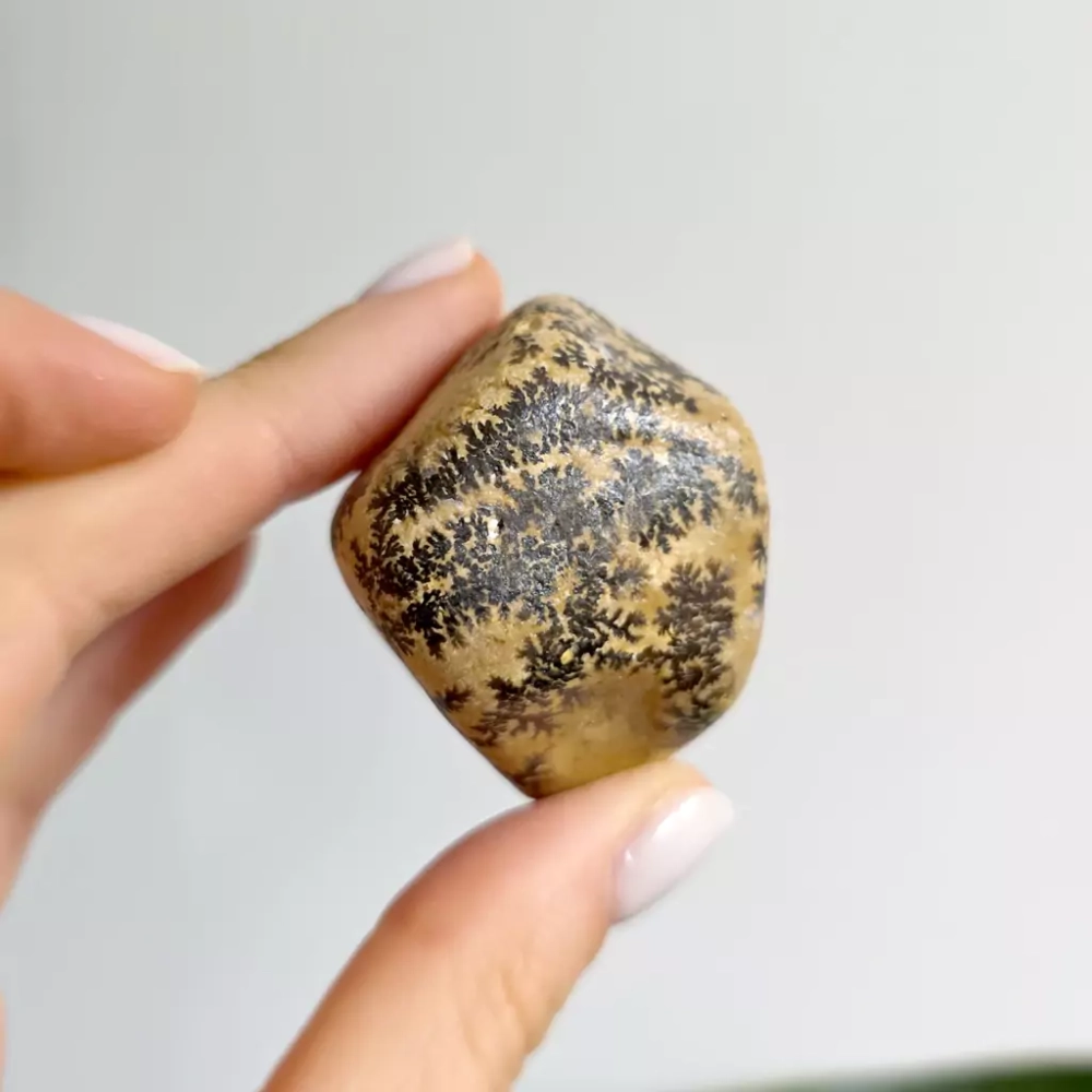 BR0048 webp Dendryty manganowe Magneska.webp