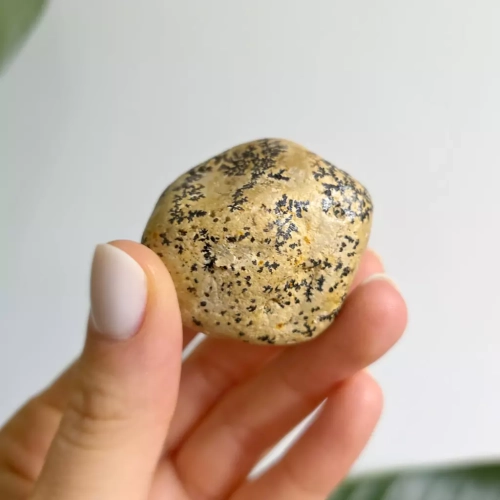 BR0048 webp Dendryty manganowe Magneska 2.webp