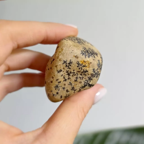 BR0048 webp Dendryty manganowe Magneska 3.webp