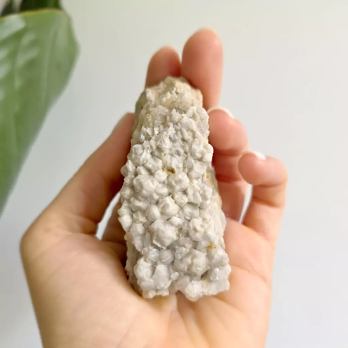 BR0049 webp Szczotka kwarcowa Magneska 4.webp