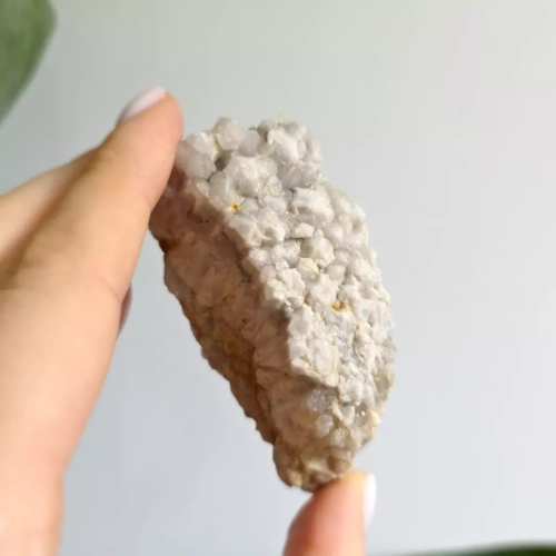 BR0049 webp Szczotka kwarcowa Magneska.webp