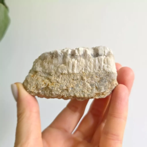 BR0049 webp Szczotka kwarcowa Magneska 3.webp