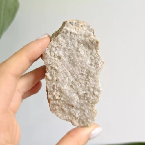 BR0056 webp Kwarc biały szczotka Magneska.webp