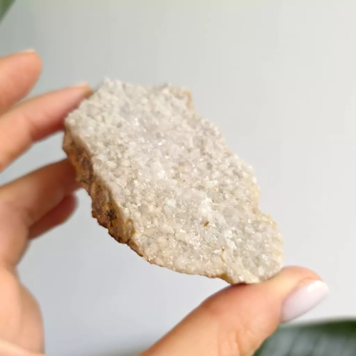 BR0056 webp Kwarc biały szczotka Magneska 2.webp