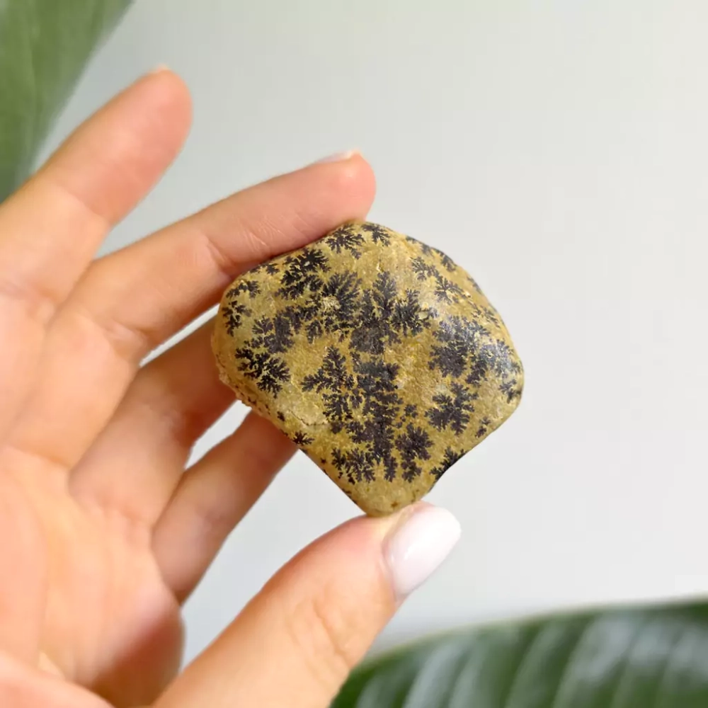 BR0057 webp Dendryty na wapieniu magneska biżuteria.webp