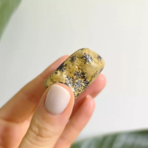 BR0057 webp Dendryty na wapieniu magneska biżuteria 2.webp