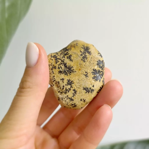 BR0057 webp Dendryty na wapieniu magneska biżuteria 3.webp