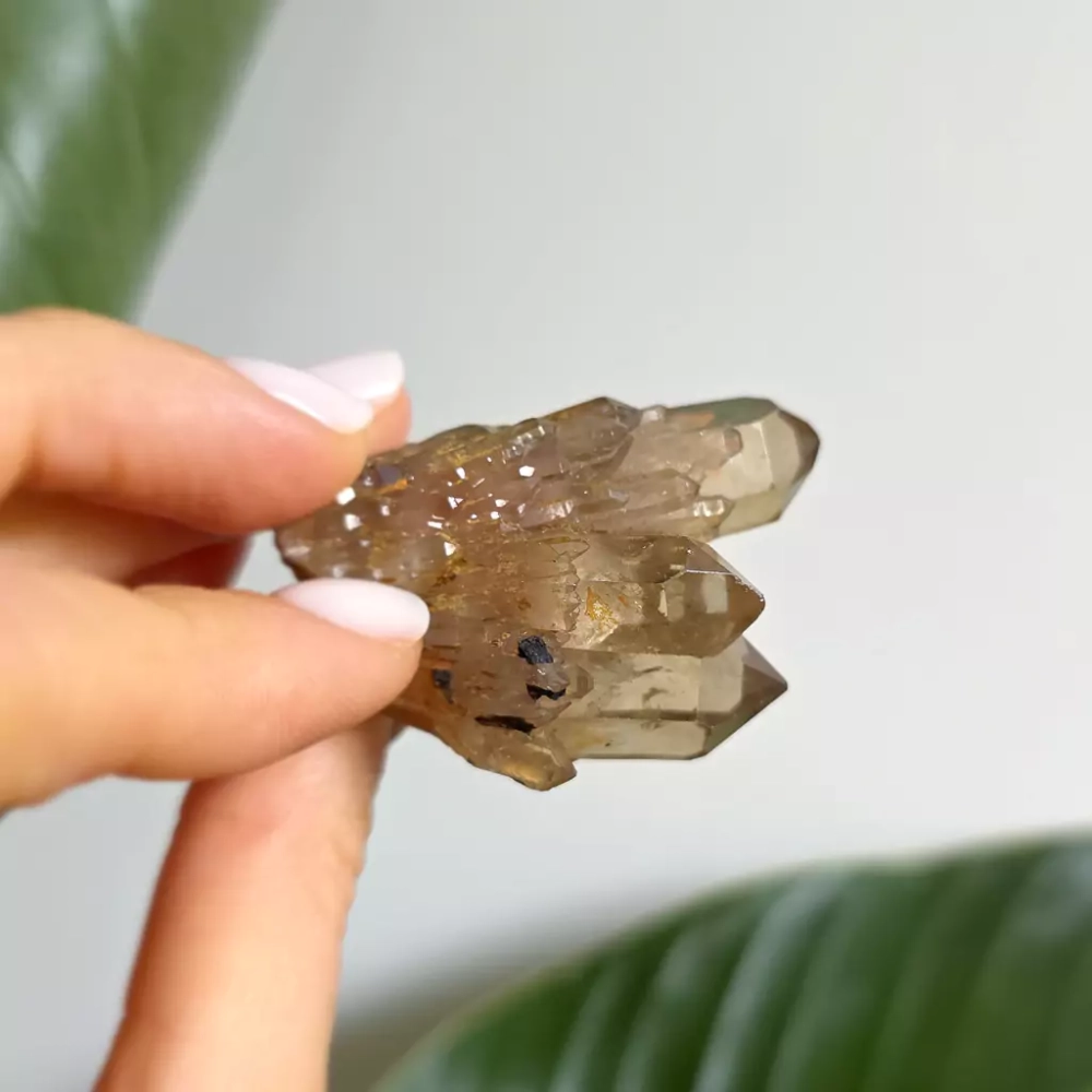 BR0063 webp Cytryn naturalny - szczotka - 35 g Magneska biżuteria 4.webp