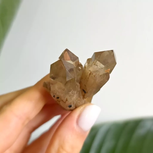 BR0063 webp Cytryn naturalny - szczotka - 35 g Magneska biżuteria 5.webp