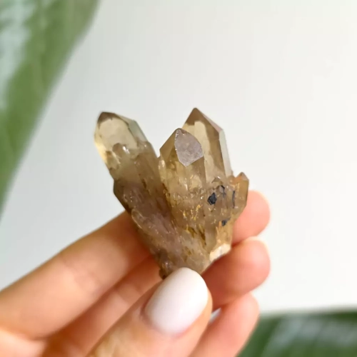 BR0063 webp Cytryn naturalny - szczotka - 35 g Magneska biżuteria 6.webp