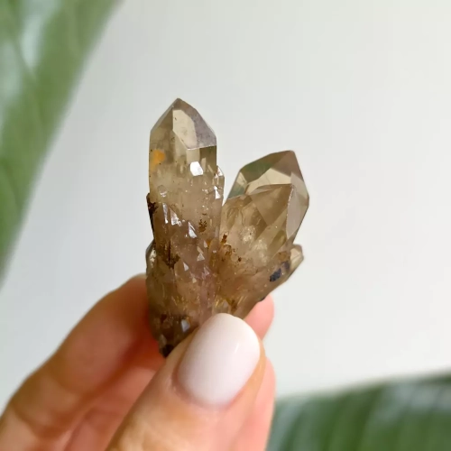 BR0063 webp Cytryn naturalny - szczotka - 35 g Magneska biżuteria.webp