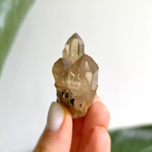 BR0063 webp Cytryn naturalny - szczotka - 35 g Magneska biżuteria 2.webp