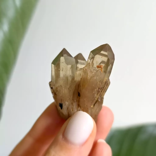 BR0063 webp Cytryn naturalny - szczotka - 35 g Magneska biżuteria 3.webp