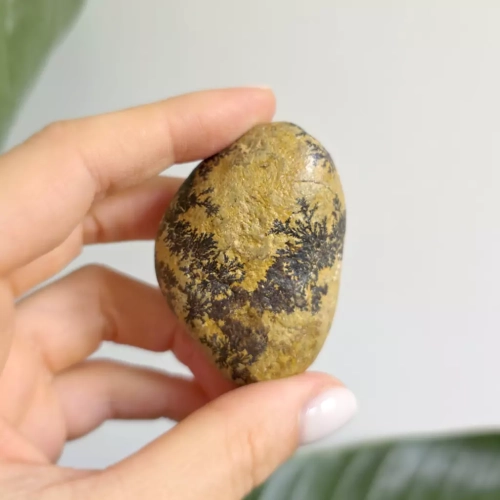 BR0067 webp Dendryty manganowe na wapieniu - bryłka surowa - 72 g Magneska.webp