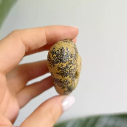 BR0067 webp Dendryty manganowe na wapieniu - bryłka surowa - 72 g Magneska 2.webp