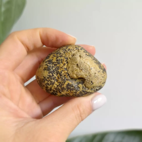 BR0067 webp Dendryty manganowe na wapieniu - bryłka surowa - 72 g Magneska 3.webp