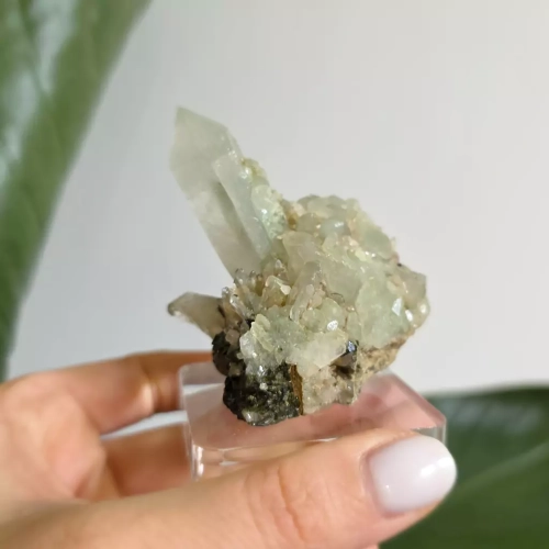 BR0068 webp Kwarc z epidotem - szczotka - 100 g Magneska 4.webp