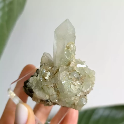 BR0068 webp Kwarc z epidotem - szczotka - 100 g Magneska.webp