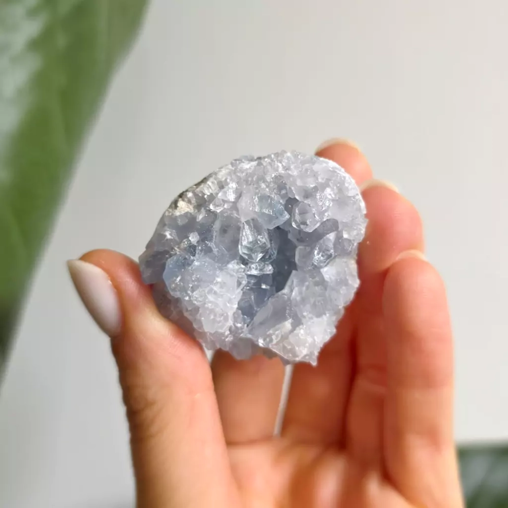 BR0069 webp Celestyn szczotka Magneska biżuteria.webp