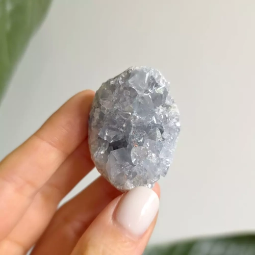 BR0078 webp Celestyn szczotka Magneska 2.webp