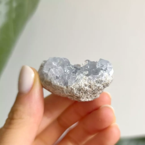 BR0078 webp Celestyn szczotka Magneska 3.webp