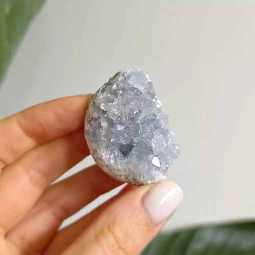 BR0078 webp Celestyn szczotka Magneska.webp