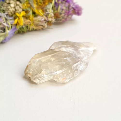BR088 webp Cytryn naturalny - szczotka - 35 g Magneska.webp