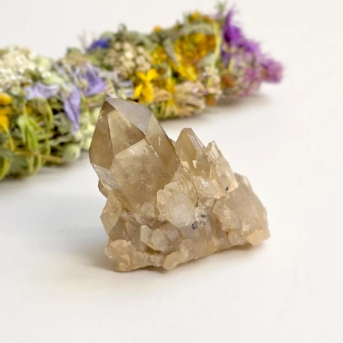 BR089 webp Cytryn naturalny - szczotka - 70 g Magneska 2.webp